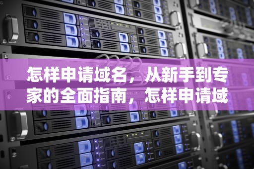 怎样申请域名，从新手到专家的全面指南，怎样申请域名网址