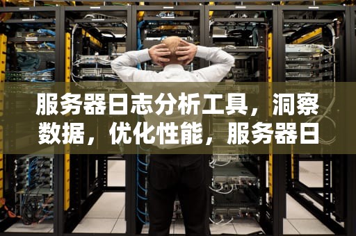 服务器日志分析工具，洞察数据，优化性能，服务器日志查看工具