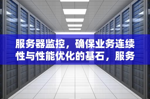 服务器监控，确保业务连续性与性能优化的基石，服务器监控指标有哪些