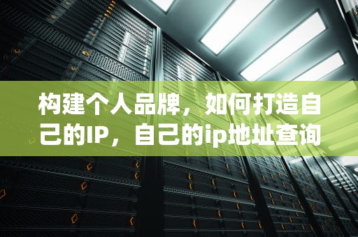 构建个人品牌，如何打造自己的IP，自己的ip地址查询