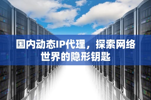 国内动态IP代理，探索网络世界的隐形钥匙