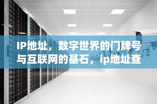 IP地址，数字世界的门牌号与互联网的基石，ip地址查询