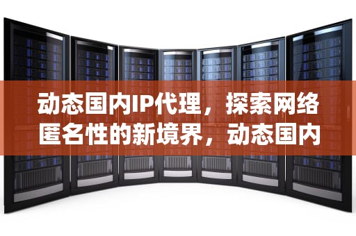 动态国内IP代理，探索网络匿名性的新境界，动态国内ip代理ip
