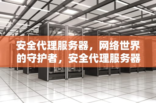 安全代理服务器，网络世界的守护者，安全代理服务器是什么