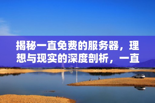 揭秘一直免费的服务器，理想与现实的深度剖析，一直免费的服务器下载