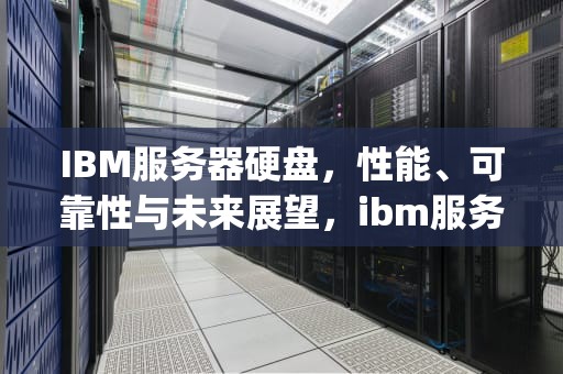 IBM服务器硬盘，性能、可靠性与未来展望，ibm服务器硬盘protected