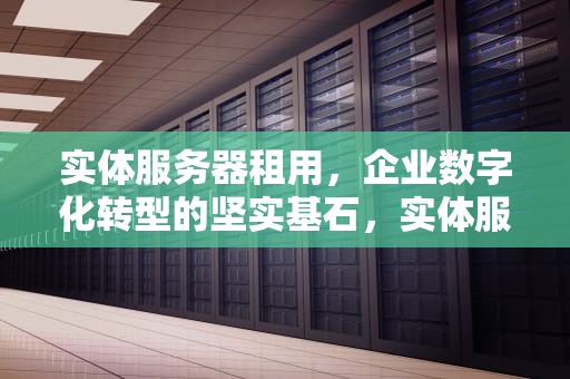 实体服务器租用，企业数字化转型的坚实基石，实体服务器租用多少钱