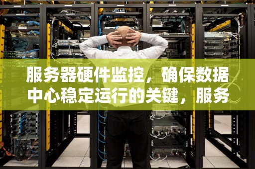 服务器硬件监控，确保数据中心稳定运行的关键，服务器硬件监控软件