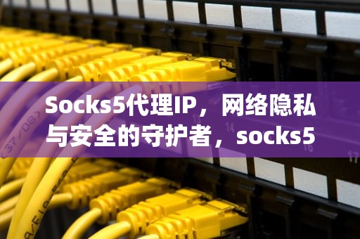 Socks5代理IP，网络隐私与安全的守护者，socks5代理ip获取方法