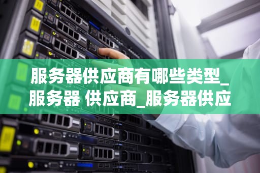 服务器供应商有哪些类型_服务器 供应商_服务器供应商的类型及其特点