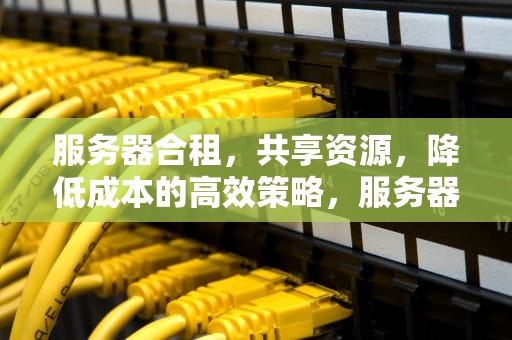 服务器合租，共享资源，降低成本的高效策略，服务器合租网