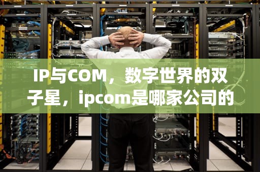 IP与COM，数字世界的双子星，ipcom是哪家公司的