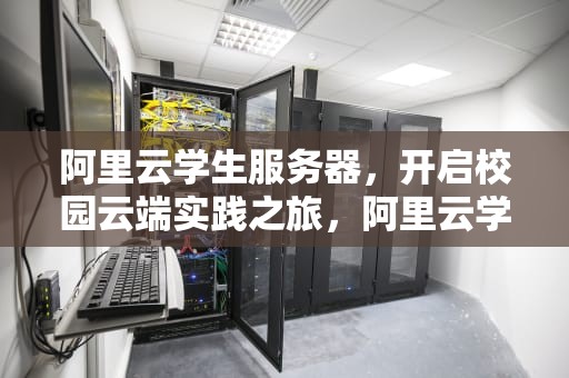 阿里云学生服务器，开启校园云端实践之旅，阿里云学生服务器300元