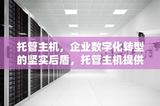 托管主机，企业数字化转型的坚实后盾，托管主机提供商