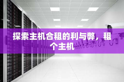 探索主机合租的利与弊，租个主机