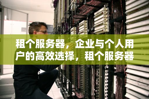 租个服务器，企业与个人用户的高效选择，租个服务器多少钱一个月