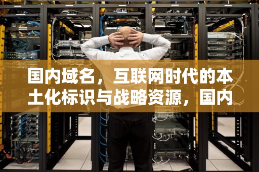 国内域名，互联网时代的本土化标识与战略资源，国内域名和国外域名区别
