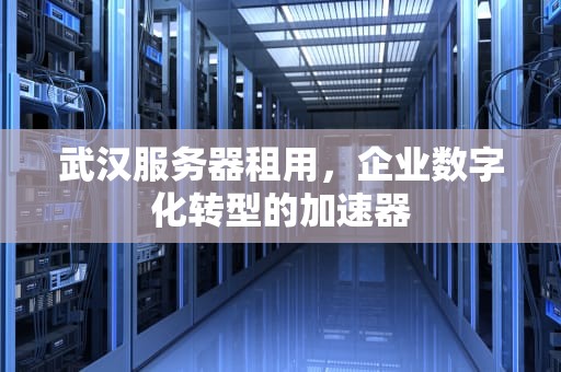武汉服务器租用，企业数字化转型的加速器