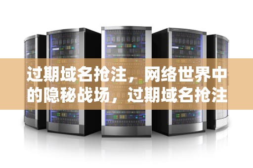 过期域名抢注，网络世界中的隐秘战场，过期域名抢注流程