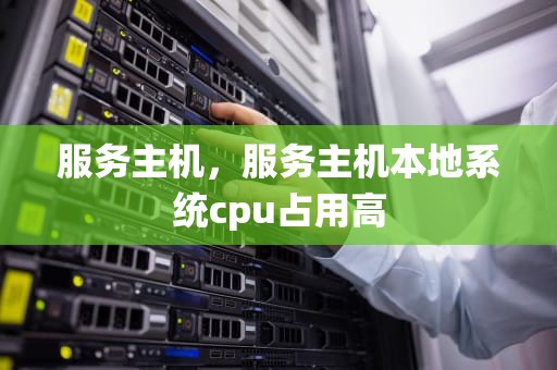 服务主机，服务主机本地系统cpu占用高