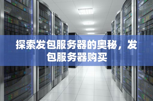 探索发包服务器的奥秘，发包服务器购买