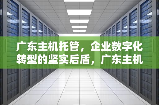 广东主机托管，企业数字化转型的坚实后盾，广东主机托管公司排名