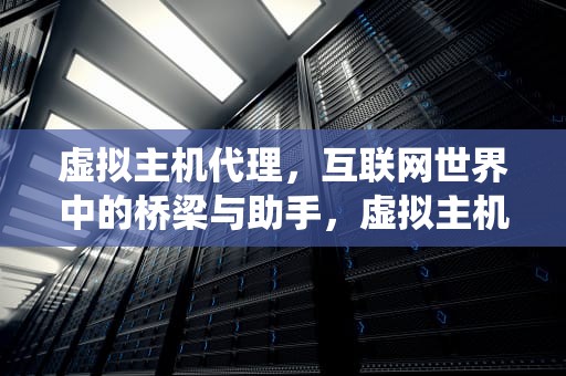 虚拟主机代理，互联网世界中的桥梁与助手，虚拟主机代理系统