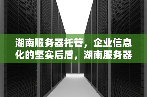 湖南服务器托管，企业信息化的坚实后盾，湖南服务器托管公司排名