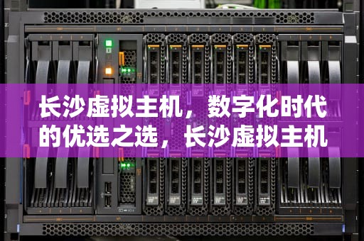 长沙虚拟主机，数字化时代的优选之选，长沙虚拟主机生产厂家