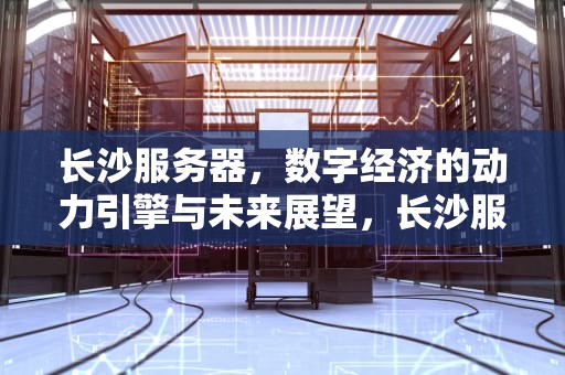 长沙服务器，数字经济的动力引擎与未来展望，长沙服务器公司