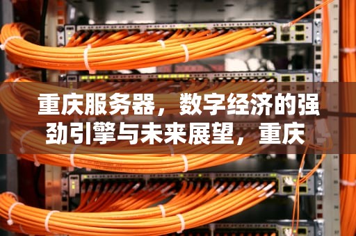 重庆服务器，数字经济的强劲引擎与未来展望，重庆 服务器租用