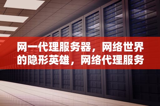 网一代理服务器，网络世界的隐形英雄，网络代理服务器