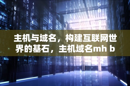 主机与域名，构建互联网世界的基石，主机域名mh bit edu cn中最高域