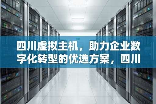 四川虚拟主机，助力企业数字化转型的优选方案，四川虚拟主机生产厂家