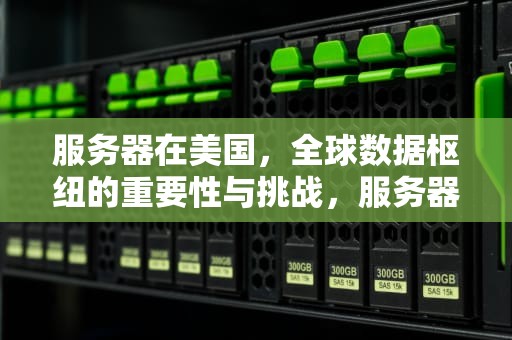 服务器在美国，全球数据枢纽的重要性与挑战，服务器在美国 不受中国法律管制