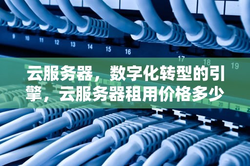 云服务器，数字化转型的引擎，云服务器租用价格多少钱一年