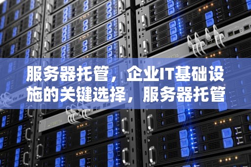服务器托管，企业IT基础设施的关键选择，服务器托管多少钱一月