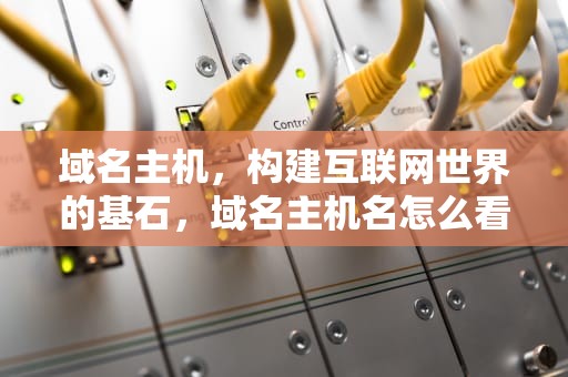 域名主机，构建互联网世界的基石，域名主机名怎么看