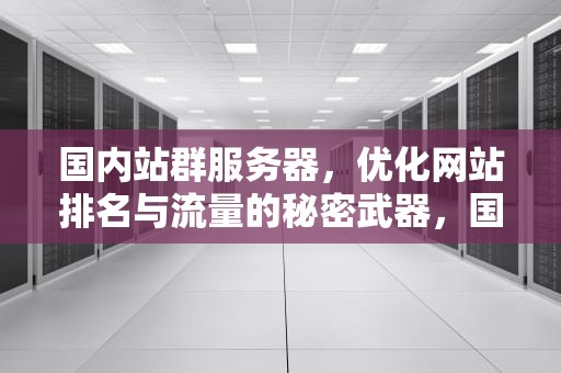 国内站群服务器，优化网站排名与流量的秘密武器，国内站群服务器租用