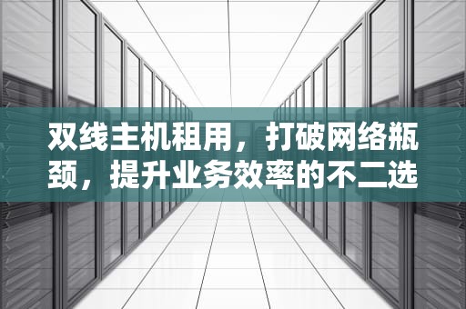 双线主机租用，打破网络瓶颈，提升业务效率的不二选择，双线主机租用多少钱