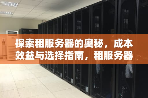 探索租服务器的奥秘，成本效益与选择指南，租服务器价格一览表