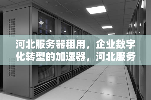 河北服务器租用，企业数字化转型的加速器，河北服务器经销商