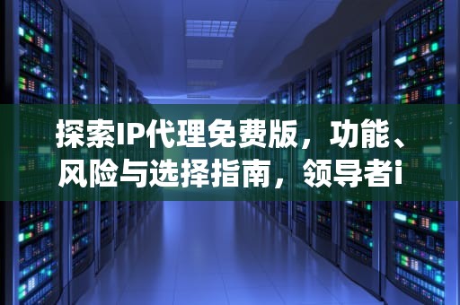 探索IP代理免费版，功能、风险与选择指南，领导者ip代理免费版