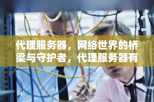 代理服务器，网络世界的桥梁与守护者，代理服务器有问题或者地址有误