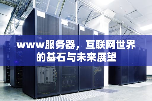 www服务器，互联网世界的基石与未来展望