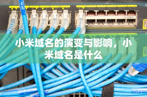 小米域名的演变与影响，小米域名是什么