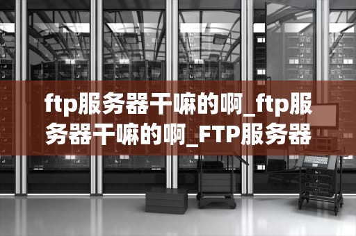 ftp服务器干嘛的啊_ftp服务器干嘛的啊_FTP服务器的功能与应用