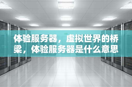 体验服务器，虚拟世界的桥梁，体验服务器是什么意思