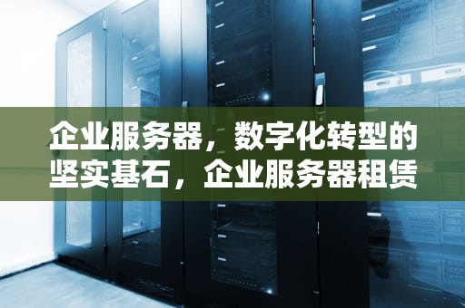 企业服务器，数字化转型的坚实基石，企业服务器租赁