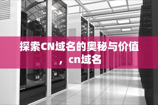 探索CN域名的奥秘与价值，cn域名